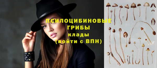 мяу мяу мука Армянск