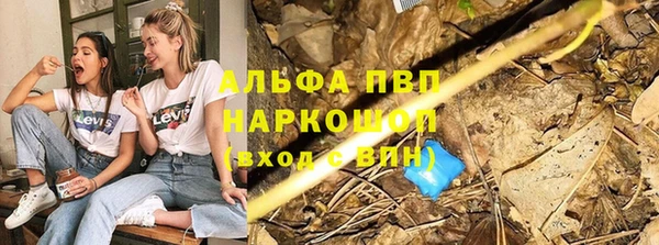 твердый Аркадак